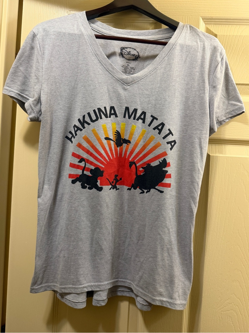 Disney Lion King Hakuna Matata Graphic V-Neck T-Shirt Women’s XL Gray
